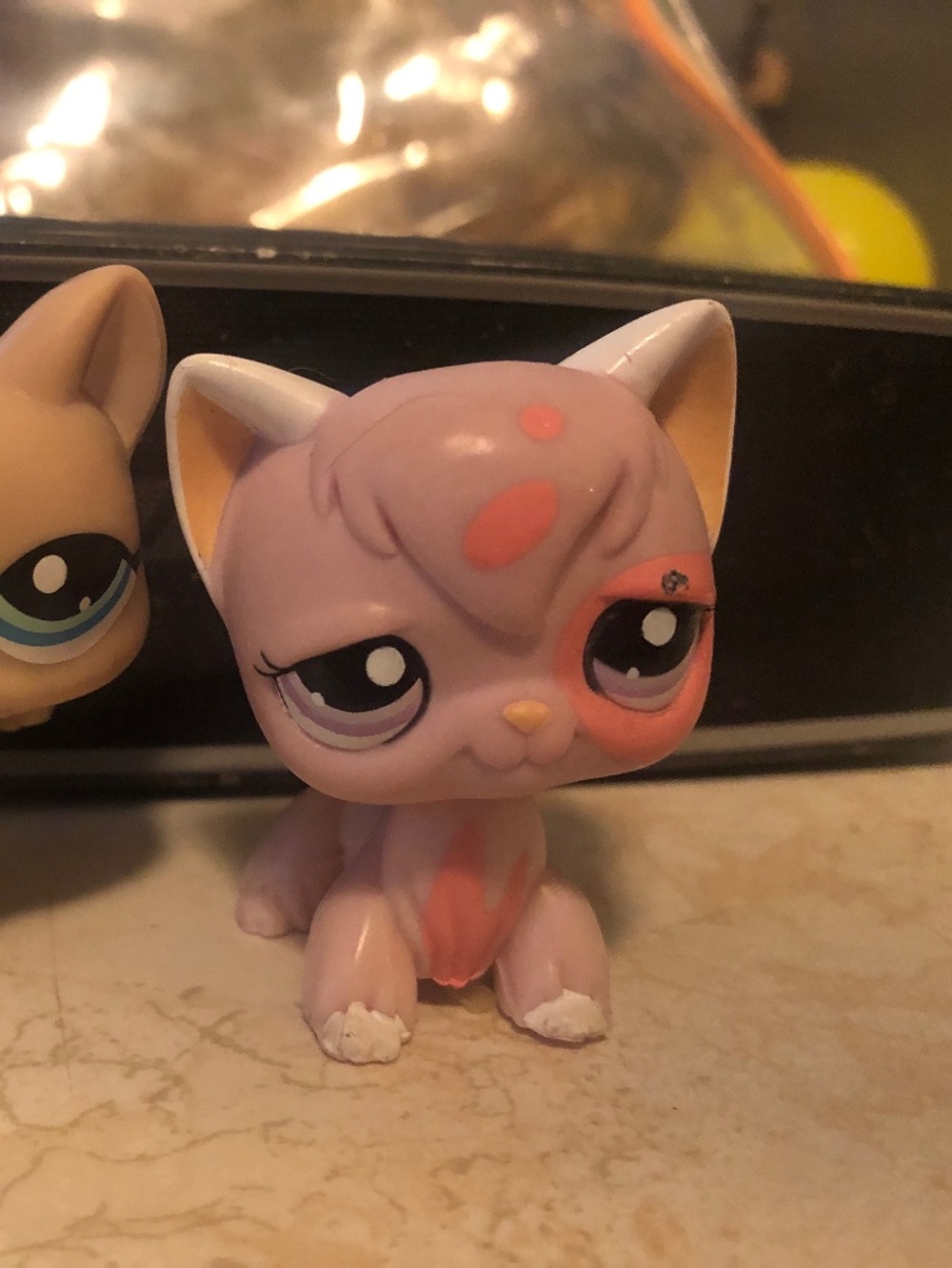 LPs cat